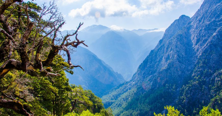 The gorge of Samaria