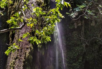 Richtis Schlucht